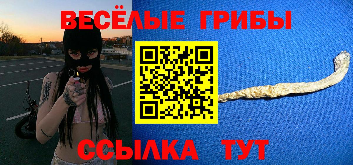 Псилоцибиновые грибы Psilocybe  Вход с VPN  Заводоуковск 